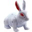 Picture of Rabbit game