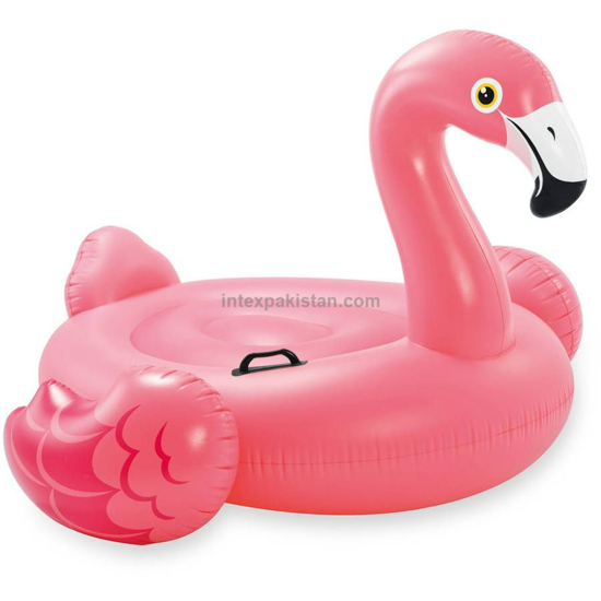 Picture of Flamingo floats