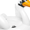 Picture of The elegant swan float