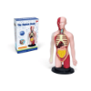 Picture of THE HUMAN BODY