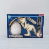 Picture of DINOSAUR FOSSIL